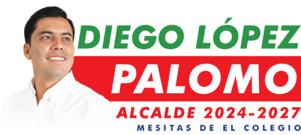Diego López Palomo